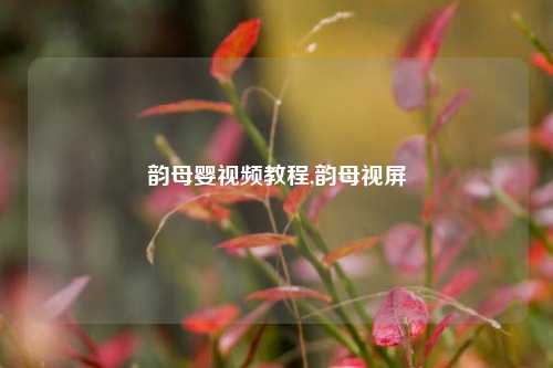 韵母婴视频教程,韵母视屏