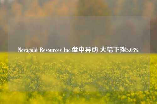 Novagold Resources Inc.盘中异动 大幅下挫5.03%