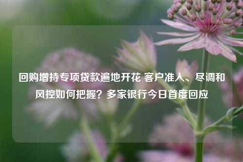 回购增持专项贷款遍地开花 客户准入、尽调和风控如何把握？多家银行今日首度回应