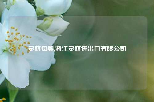 灵萌母婴,浙江灵萌进出口有限公司