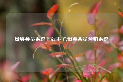 母婴会员系统下载不了,母婴会员营销系统