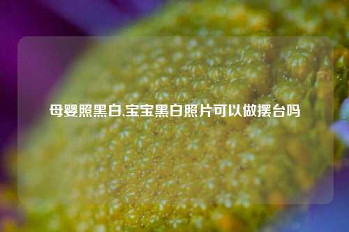 母婴照黑白,宝宝黑白照片可以做摆台吗