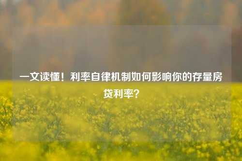 一文读懂！利率自律机制如何影响你的存量房贷利率？