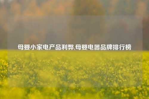 母婴小家电产品利弊,母婴电器品牌排行榜