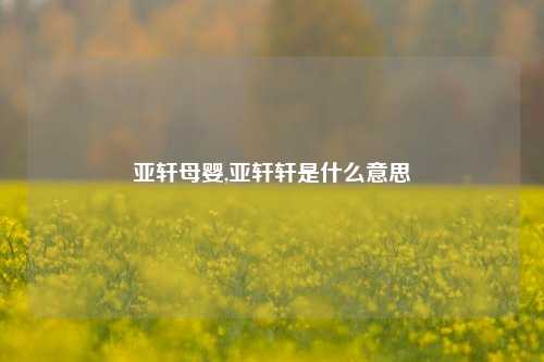 亚轩母婴,亚轩轩是什么意思