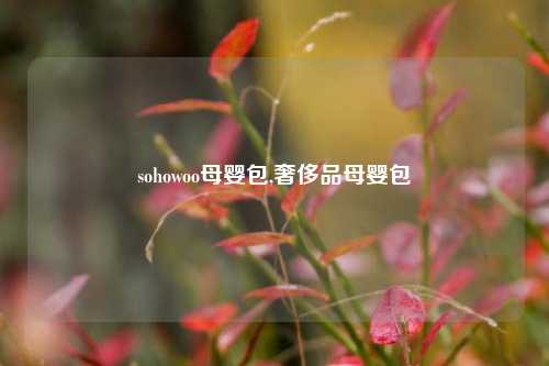 sohowoo母婴包,奢侈品母婴包