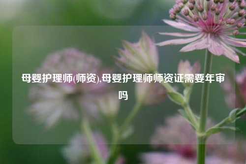 母婴护理师(师资),母婴护理师师资证需要年审吗