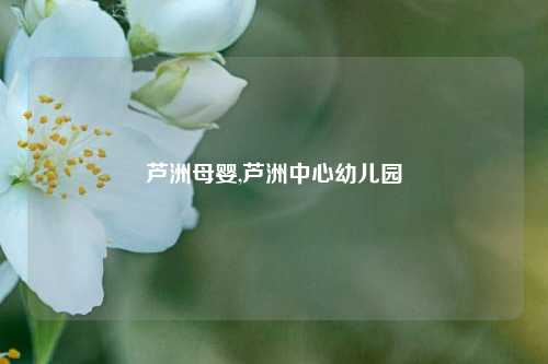 芦洲母婴,芦洲中心幼儿园