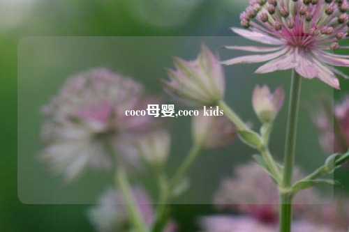 coco母婴,coco kids