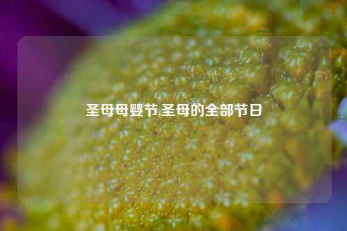 圣母母婴节,圣母的全部节日