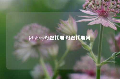 jellybaby母婴代理,母婴代理网