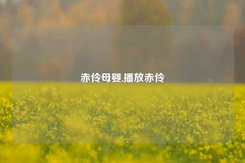 赤伶母婴,播放赤伶