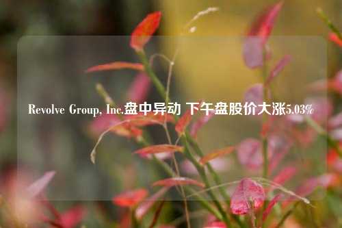 Revolve Group, Inc.盘中异动 下午盘股价大涨5.03%