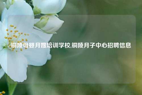 铜陵母婴月嫂培训学校,铜陵月子中心招聘信息