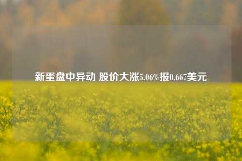 新蛋盘中异动 股价大涨5.06%报0.667美元