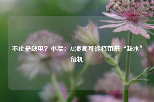 不止是缺电？小摩：AI浪潮可能将带来“缺水”危机