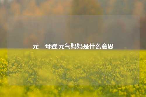 元氣母婴,元气妈妈是什么意思