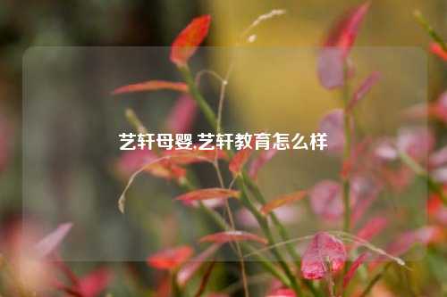 艺轩母婴,艺轩教育怎么样