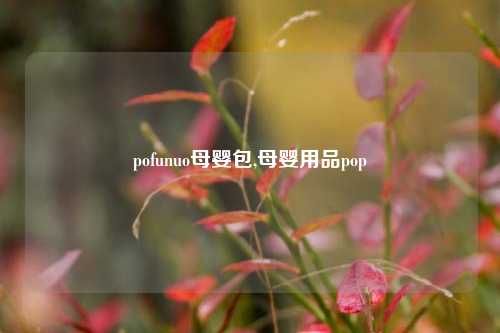 pofunuo母婴包,母婴用品pop