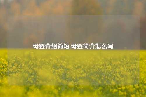 母婴介绍简短,母婴简介怎么写