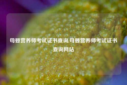 母婴营养师考试证书查询,母婴营养师考试证书查询网站