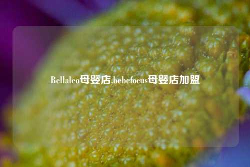 Bellaleo母婴店,bebefocus母婴店加盟