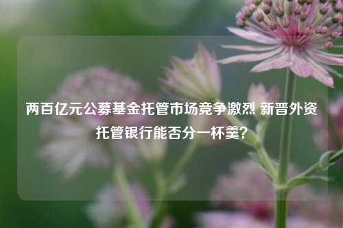 两百亿元公募基金托管市场竞争激烈 新晋外资托管银行能否分一杯羹？