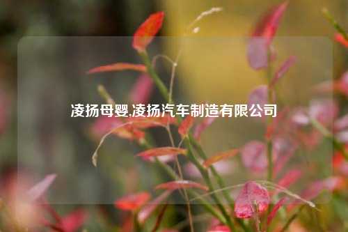 凌扬母婴,凌扬汽车制造有限公司