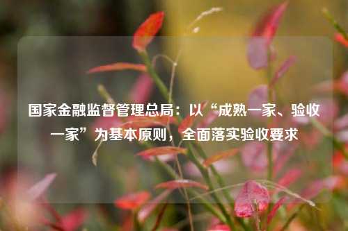 国家金融监督管理总局：以“成熟一家、验收一家”为基本原则，全面落实验收要求