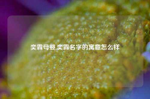 奕霖母婴,奕霖名字的寓意怎么样