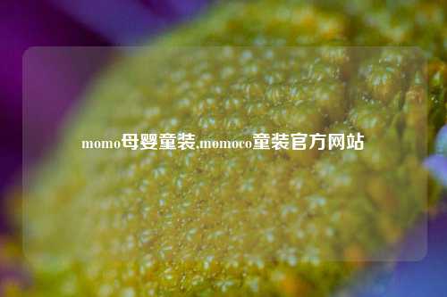 momo母婴童装,momoco童装官方网站