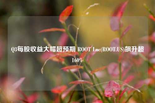 Q3每股收益大幅超预期 ROOT Lnc(ROOT.US)飙升超160%