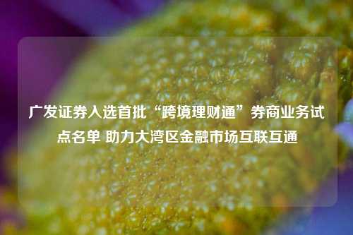 广发证券入选首批“跨境理财通”券商业务试点名单 助力大湾区金融市场互联互通