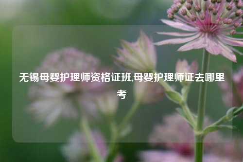 无锡母婴护理师资格证班,母婴护理师证去哪里考