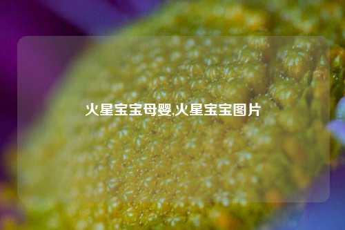 火星宝宝母婴,火星宝宝图片