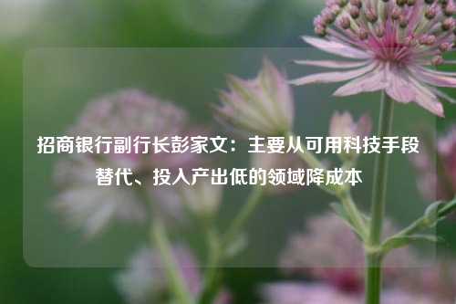 招商银行副行长彭家文：主要从可用科技手段替代、投入产出低的领域降成本