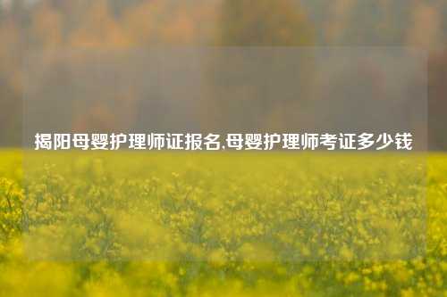 揭阳母婴护理师证报名,母婴护理师考证多少钱