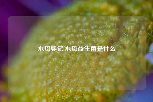 水母婴记,水母益生菌是什么