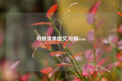 母婴清单图文,母婴icon