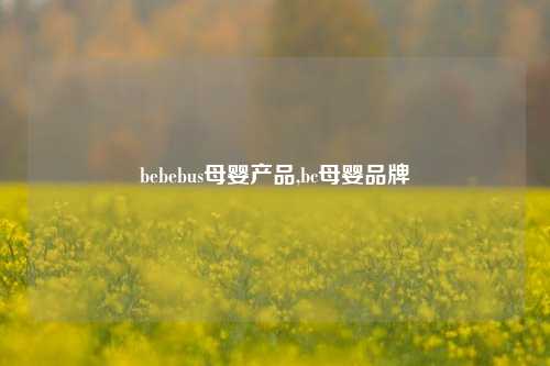 bebebus母婴产品,bc母婴品牌