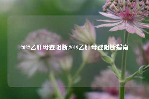 2022乙肝母婴阻断,2019乙肝母婴阻断指南