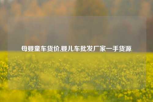 母婴童车货价,婴儿车批发厂家一手货源