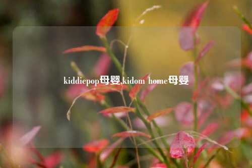 kiddiepop母婴,kidom home母婴