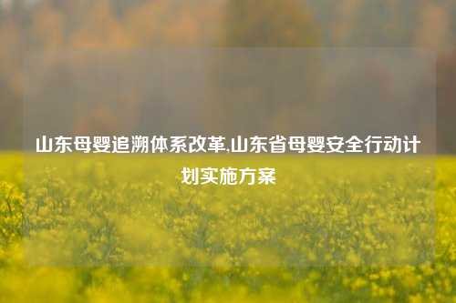 山东母婴追溯体系改革,山东省母婴安全行动计划实施方案