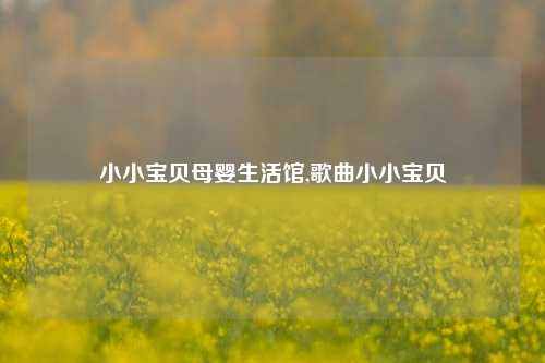 小小宝贝母婴生活馆,歌曲小小宝贝