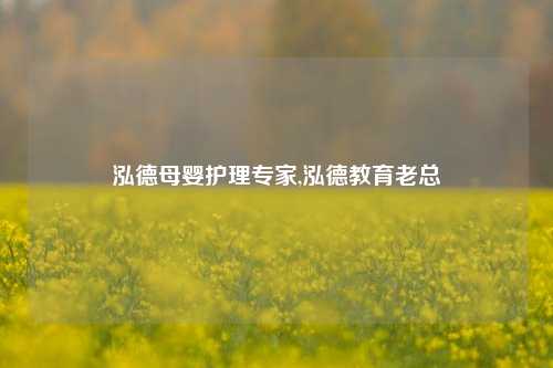 泓德母婴护理专家,泓德教育老总