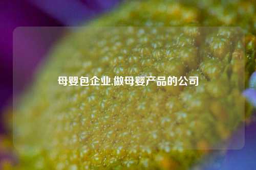 母婴包企业,做母婴产品的公司