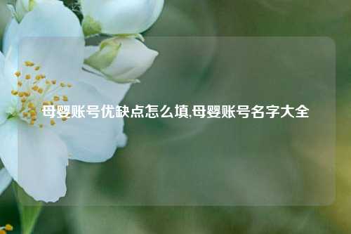 母婴账号优缺点怎么填,母婴账号名字大全