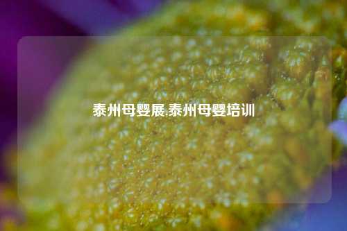 泰州母婴展,泰州母婴培训