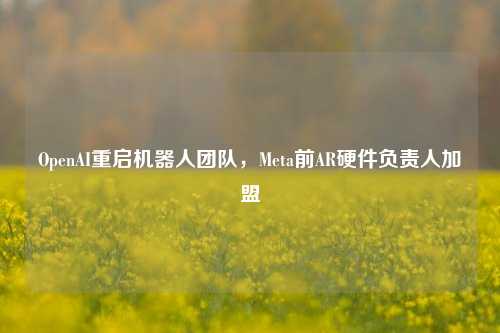 OpenAI重启机器人团队，Meta前AR硬件负责人加盟